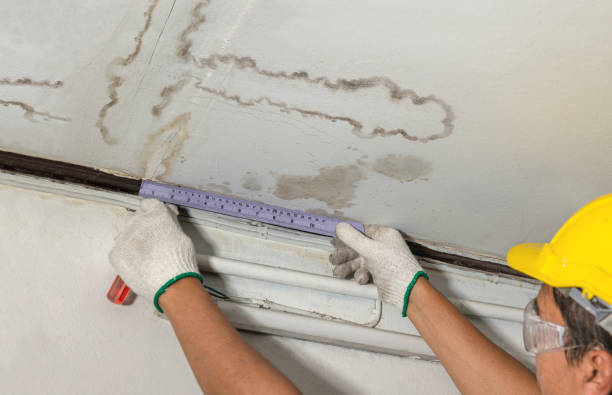 Reliable Structural Drying contractor in Deersville, OH by Water Damage Irwin